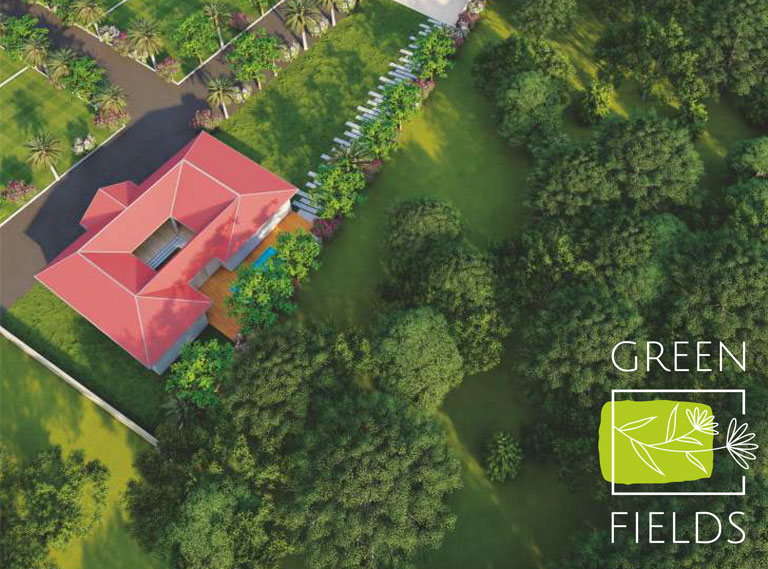 Green fields